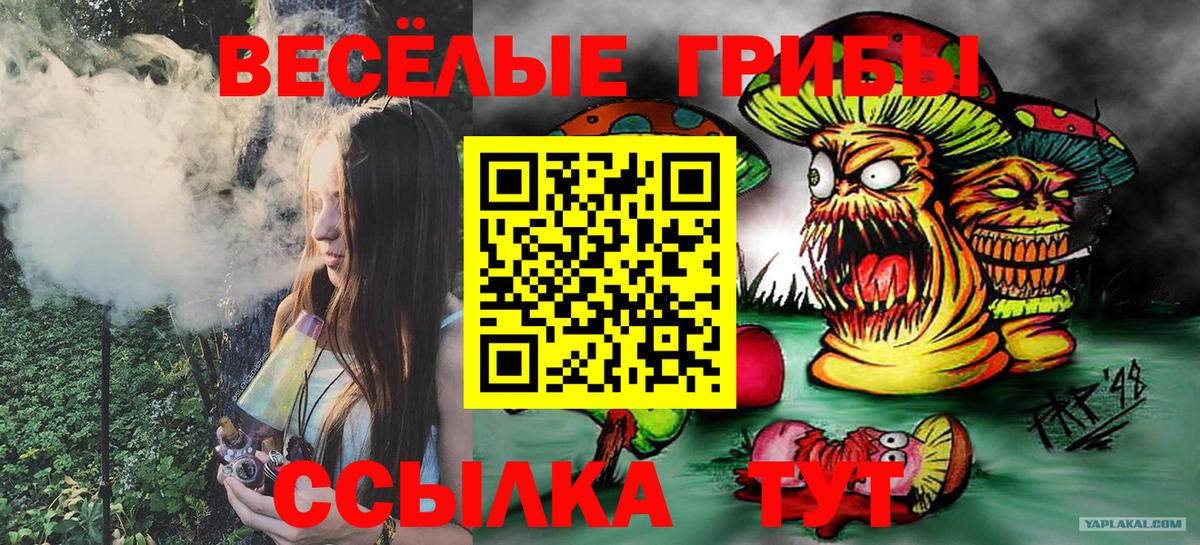 Кохма  Галлюциногенные грибы MAGIC MUSHROOMS  Вход с VPN  Псилоцибиновые грибы мухоморы 